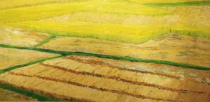 Field Oil Painting