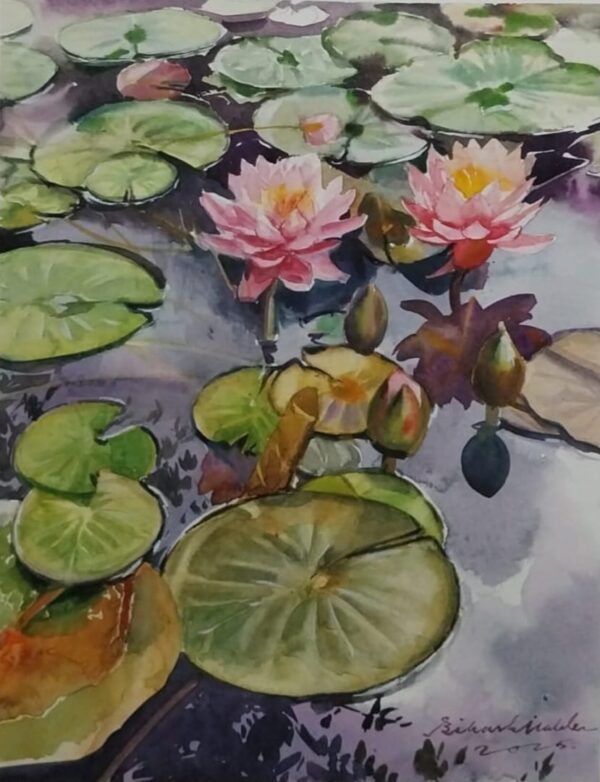 watercolour lotus flower