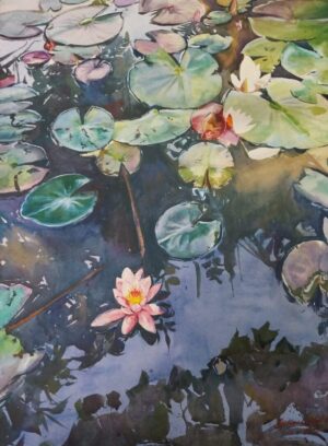 watercolour water lilies