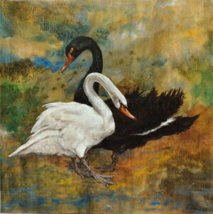 Black and White Swan Painting